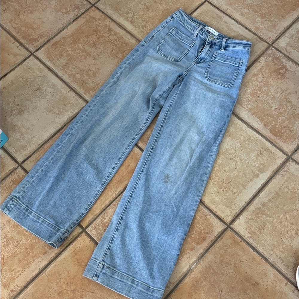 Flying Monkey Denim Wide-Leg Pants